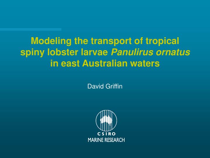 modeling the transport of tropical spiny lobster larvae panulirus ornatus in east australian waters