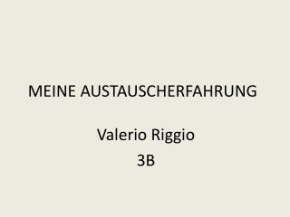 meine austauscherfahrung