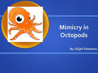 Mimicry in Octopods