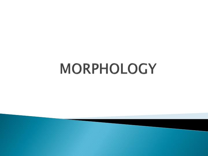 morphology