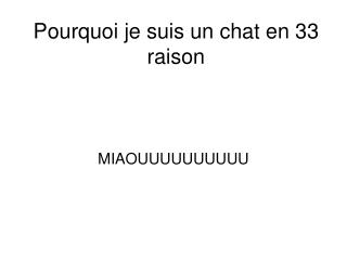 pourquoi je suis un chat en 33 raison