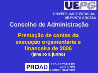 Prestação de contas da execução orçamentária e financeira de 2006 (janeiro a junho)
