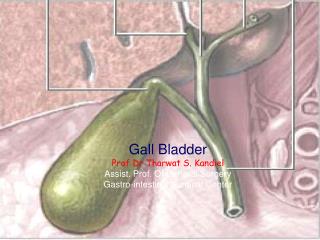 Gall Bladder Prof Dr Tharwat S. Kandiel Assist. Prof. Of General Surgery