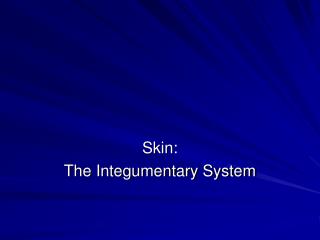 Skin: The Integumentary System