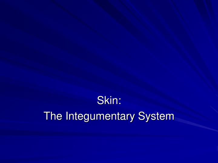 skin the integumentary system