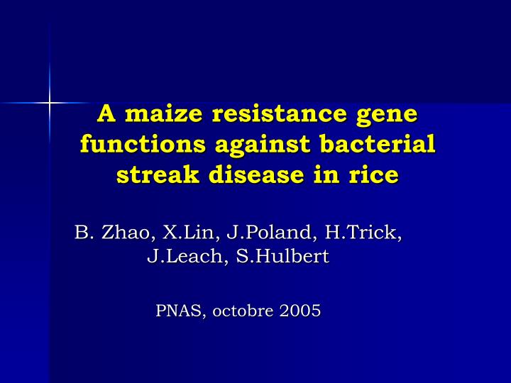 a maize resistance gene functions against bacterial streak disease in rice