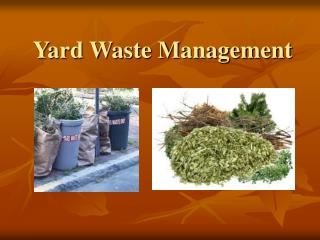 Yard Waste Management
