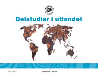 delstudier i utlandet