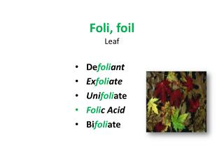 Foli, foil Leaf