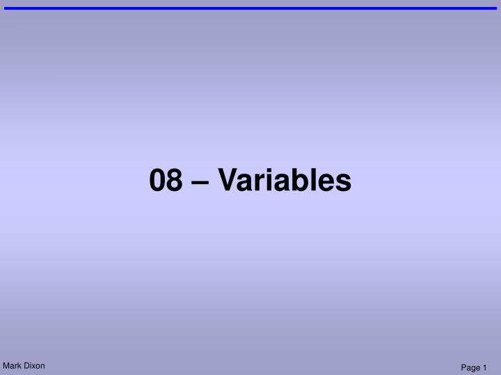 08 variables