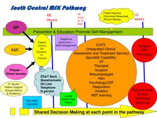 ICATS (Integrated Clinical Assessment and Treatment Service) Specialist Capability: GP Therapist