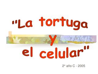2 a o c 2005
