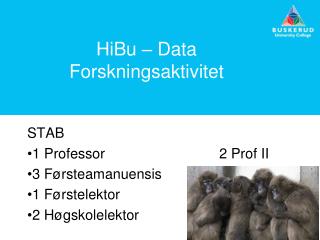 HiBu – Data Forskningsaktivitet