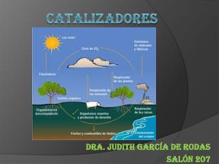 dra judith garc a de rodas sal n 207