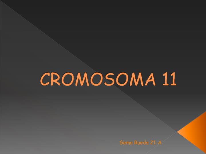 cromosoma 11