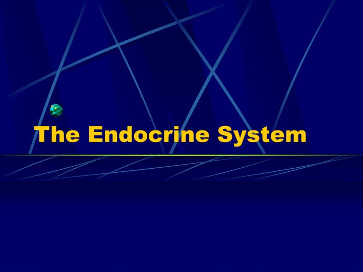 the endocrine system