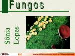 Fungos - slide 1