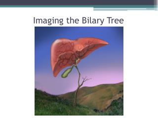 Imaging the Bilary Tree