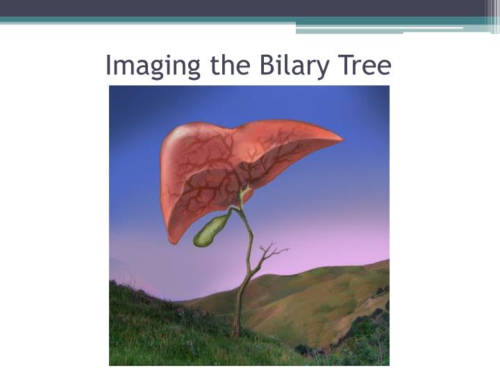 imaging the bilary tree