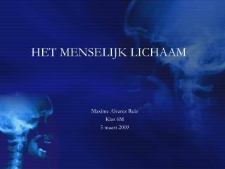 het menselijk lichaam