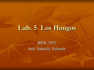 lab 5 los hongos