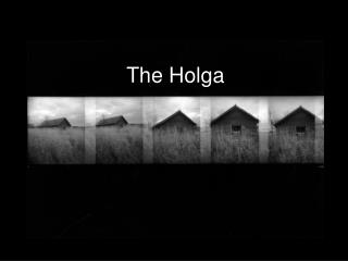 The Holga