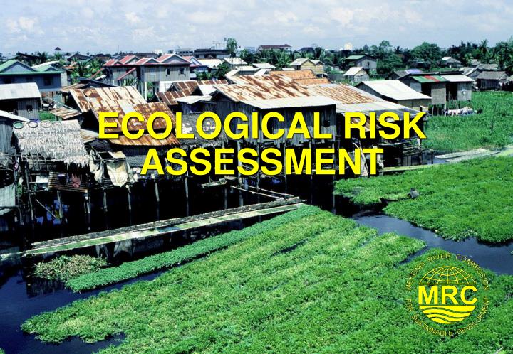 ecological risk assessment