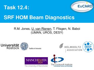 Task 12.4 : SRF HOM Beam Diagnostics