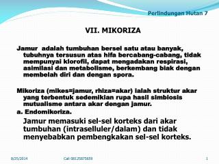 perlindungan hutan 7