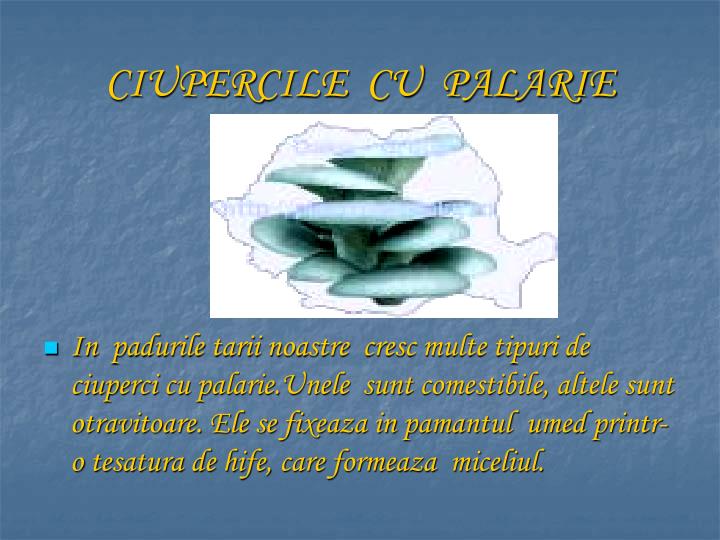 ciupercile cu palarie