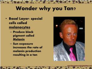 Wonder why you Tan?