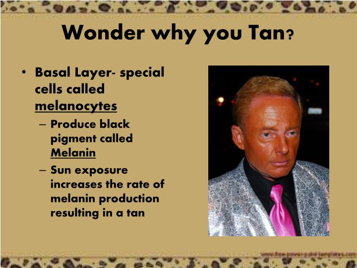 wonder why you tan