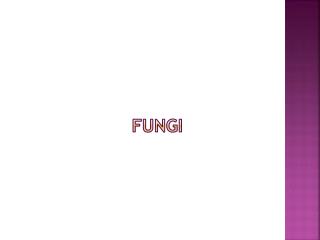 fungi