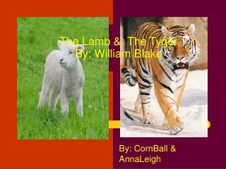 The Lamb &amp; The Tyger By: William Blake