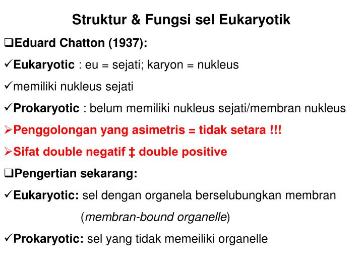 struktur fungsi sel eukaryotik