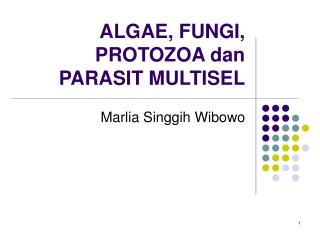 algae fungi protozoa dan parasit multisel