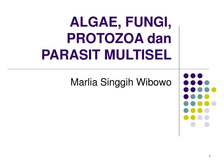 algae fungi protozoa dan parasit multisel