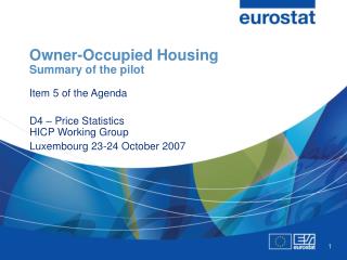 Owner-Occupied Housing Summary of the pilot Item 5 of the Agenda