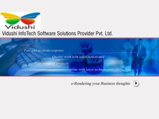 Vidushi Infotech Software Solutions Provider Pvt. Ltd.