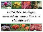 FUNGOS: biologia, diversidade, importância e classificação - slide 1