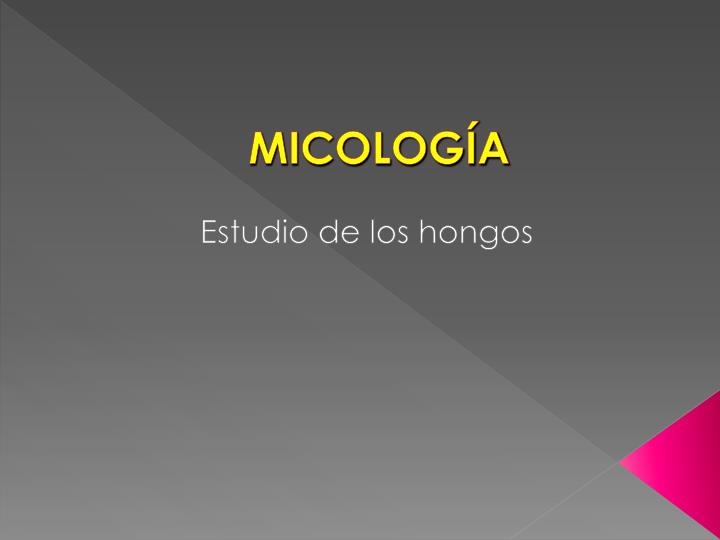 micolog a