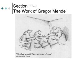 Section 11-1 The Work of Gregor Mendel