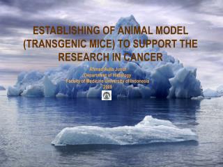 ESTABLISHING OF ANIMAL MODEL (TRANSGENIC MICE) TO SUPPORT THE RESEARCH IN CANCER