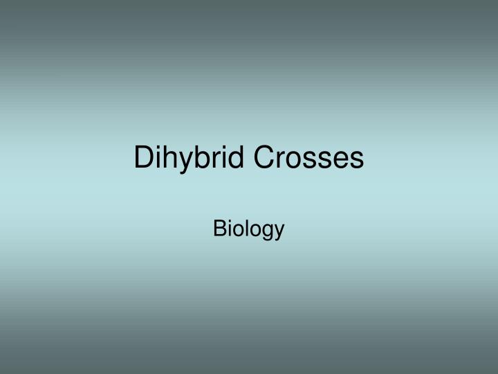 dihybrid crosses