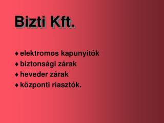 bizti kft