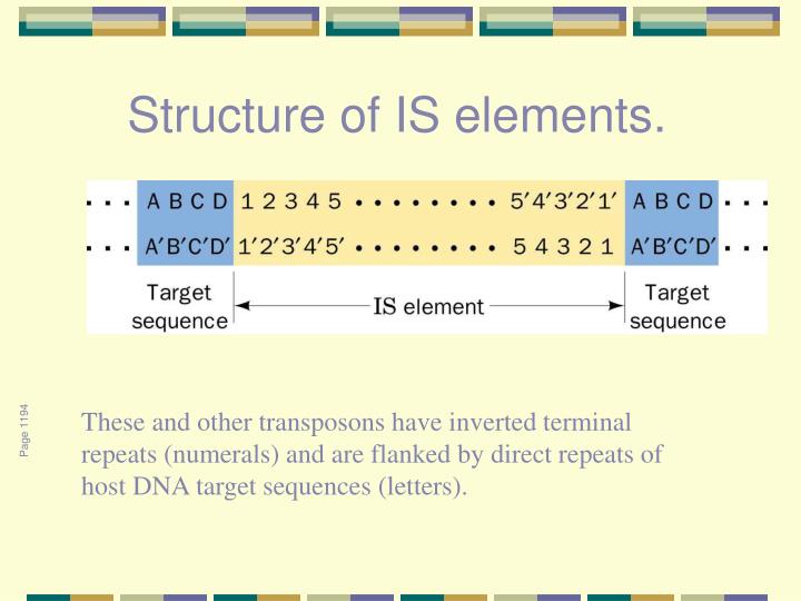 structure of is elements
