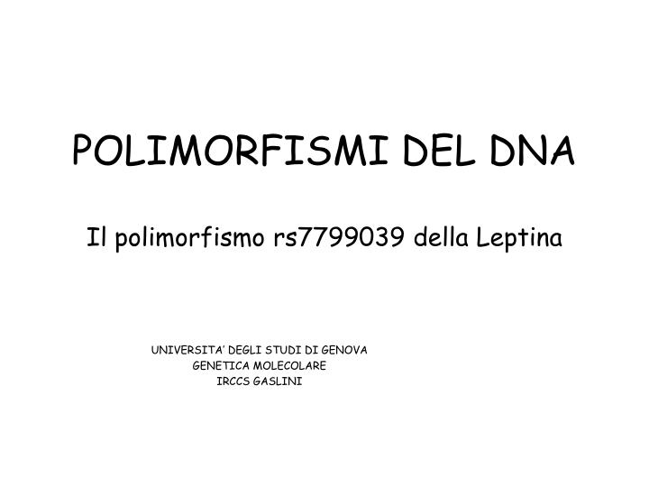 polimorfismi del dna il polimorfismo rs7799039 della leptina