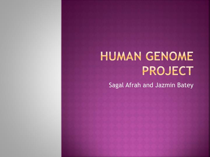 human genome project
