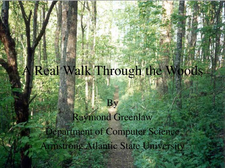 a real walk through the woods