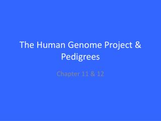 The Human Genome Project &amp; Pedigrees